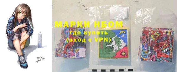 гашик Алексин