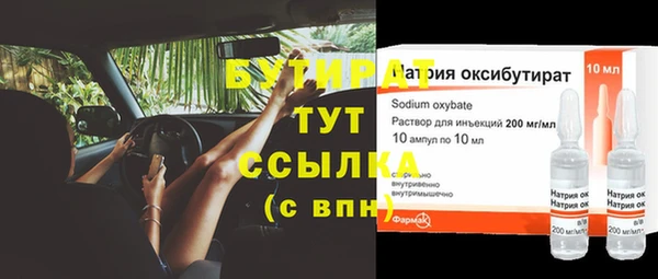гашик Алексин