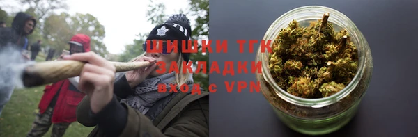 гашик Алексин