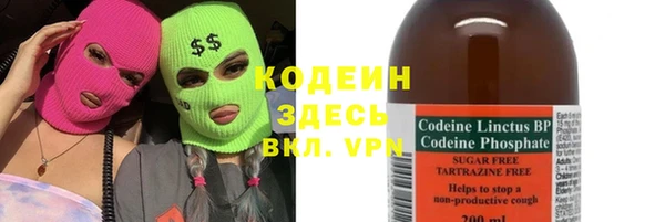 гашик Алексин