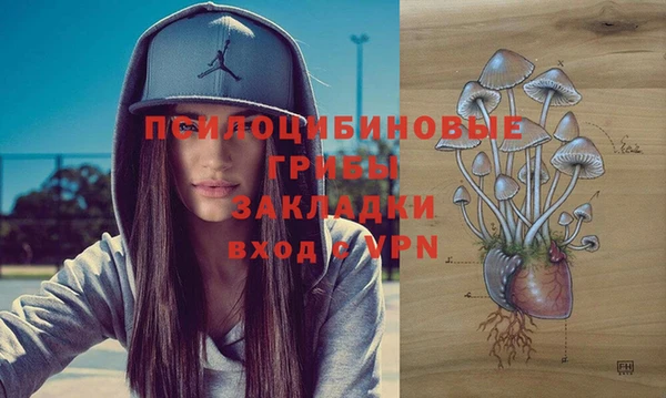 спиды Алзамай