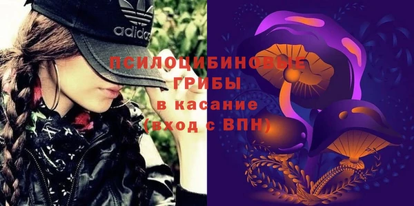 гашик Алексин