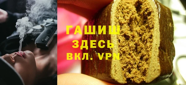 гашик Алексин
