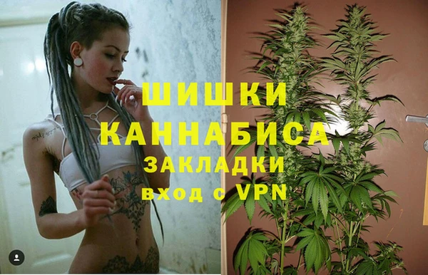 спиды Алзамай