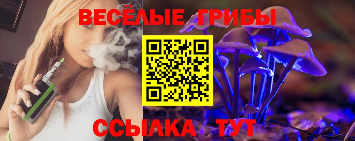 МЕФ  Кинель  ГАШ  ЭКСТАЗИ  Мефедрон кристаллы  Кетамин  А ПВП СК   Вход с VPN 