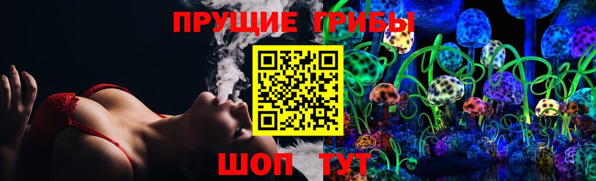 Галлюциногенные грибы Psilocybe  Псилоцибиновые грибы Psilocybine cubensis  Вход с VPN  Кинель 