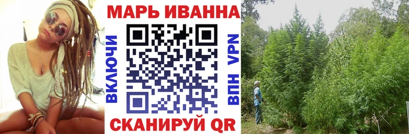 Конопля сатива  Кинель 